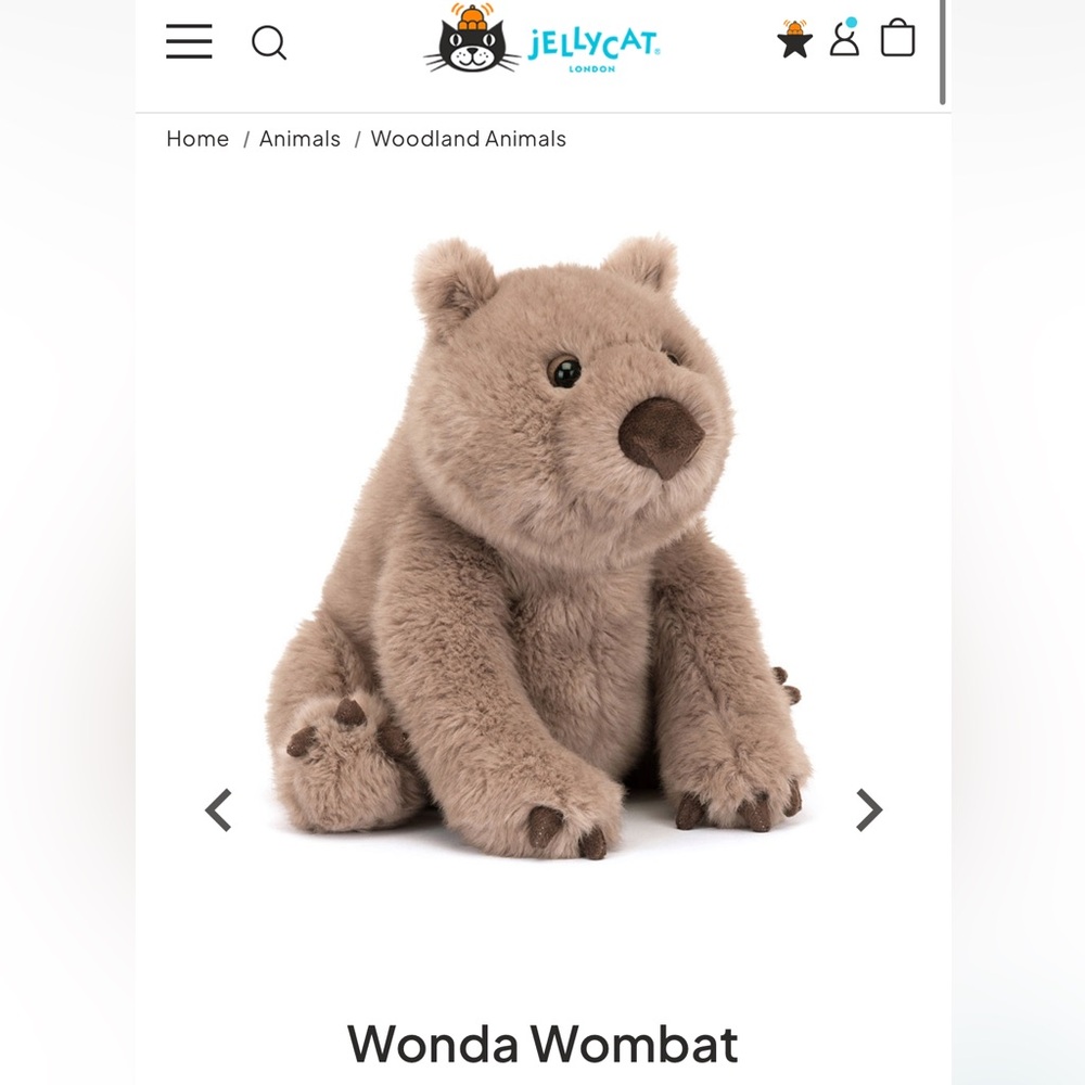 Authentic Jellycat Wonda Wombat Plush - NWT